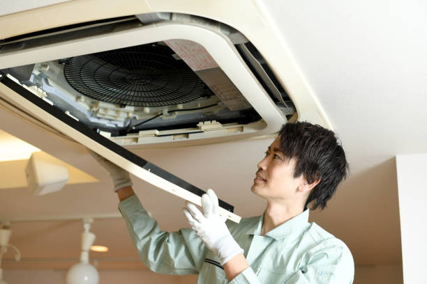 Best Air Duct Mold Removal  in Sheridan, IL