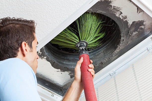 Best Home Air Vent Cleaning  in Sheridan, IL