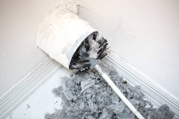 Best HVAC Maintenance and Cleaning  in Sheridan, IL